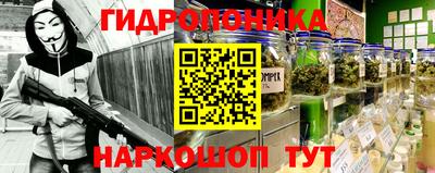 spice Тара