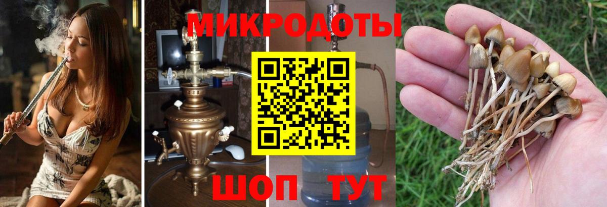 Псилоцибиновые грибы Magic Shrooms Мценск